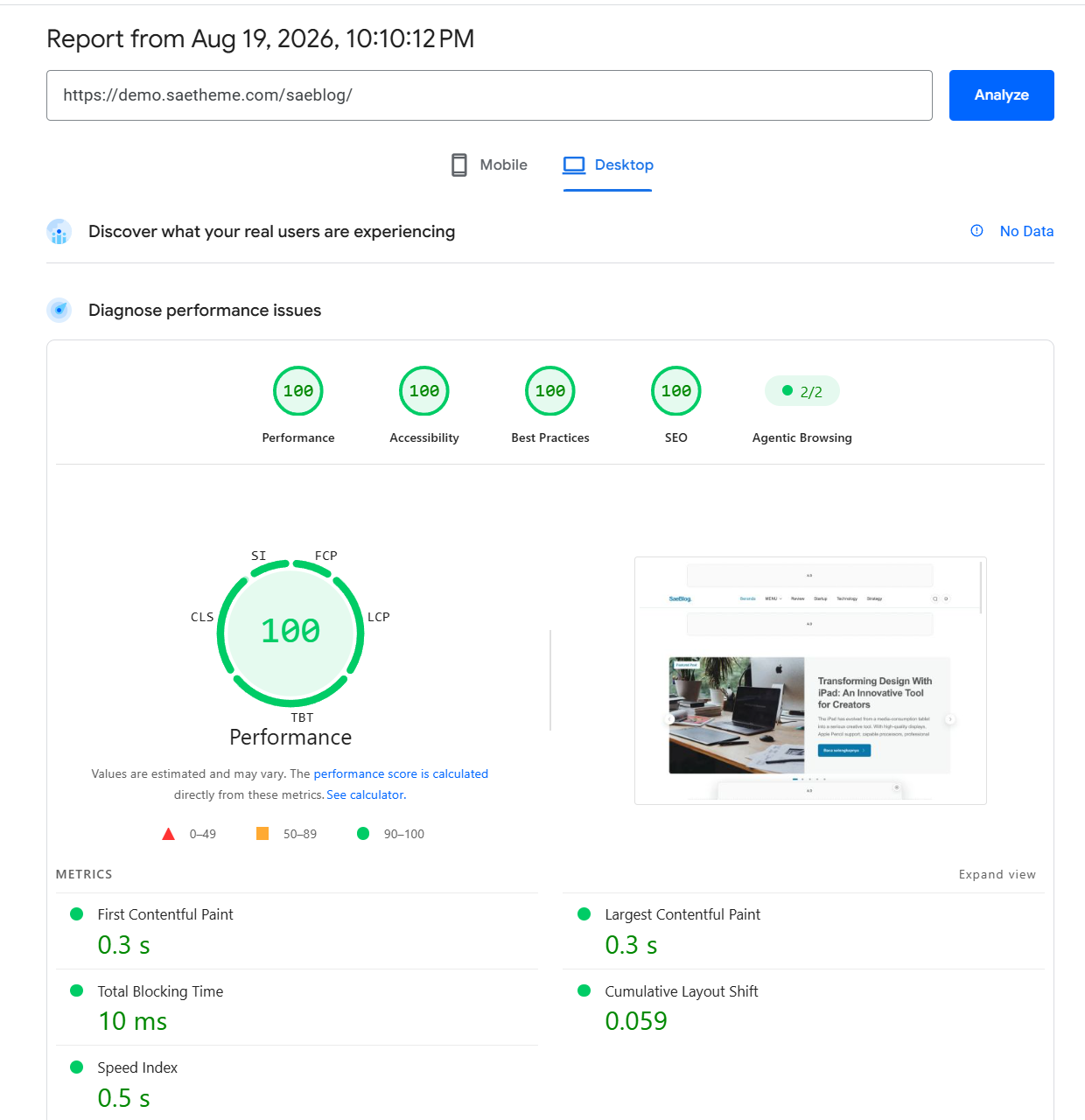 PageSpeed Insights SaeBlog Performance 100